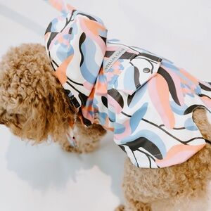 Stylish Stella McCartney Multicolor Dog Raincoat